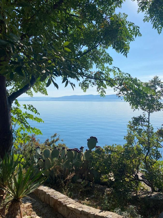Studio Bozica Senj Senj  Exteriér fotografie