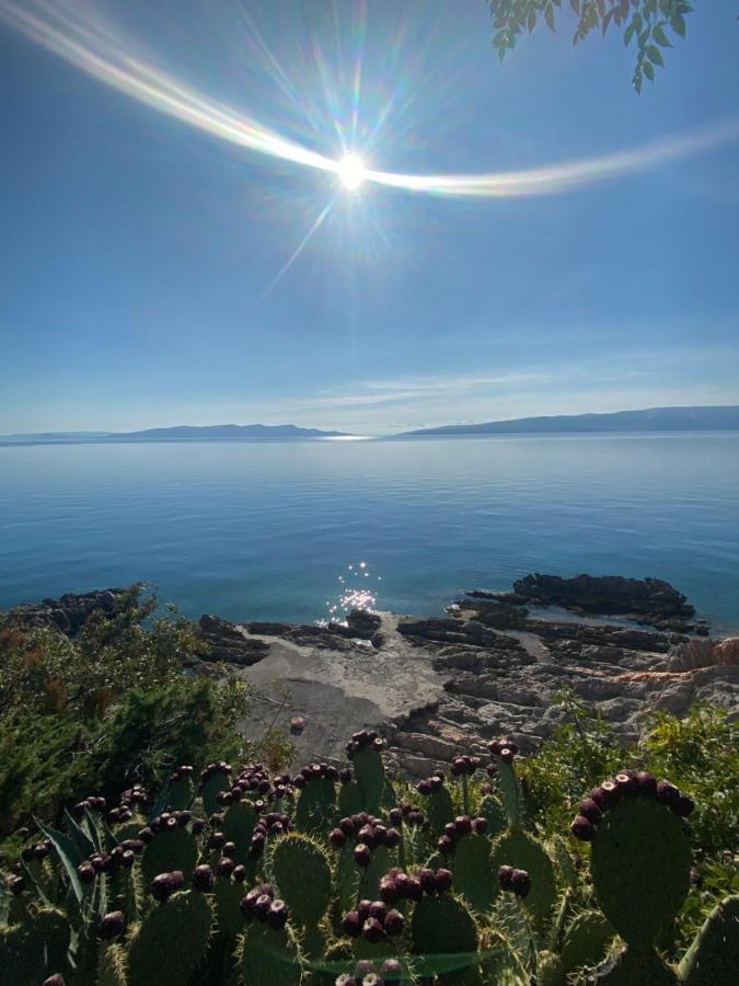 Studio Bozica Senj Senj  Exteriér fotografie